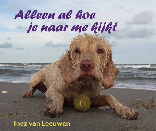 Omslag van Alleen al hoe je naar me kijkt