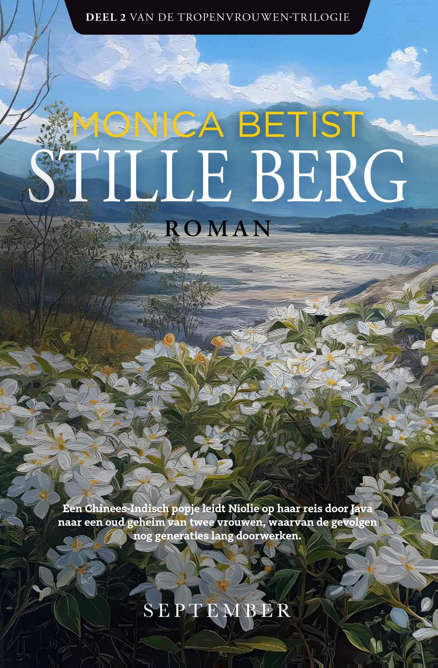 Omslag van Stille berg