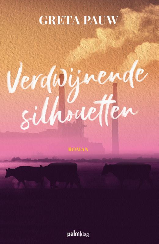 Omslag van Verdwijnende silhouetten
