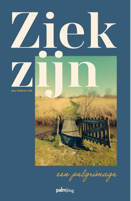 Omslag van Ziek zijn, een pelgrimage