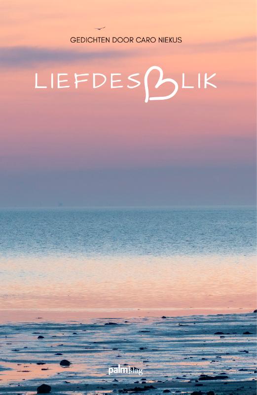 Omslag van Liefdesblik