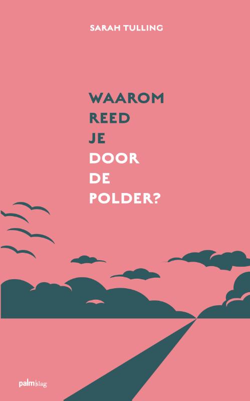 Omslag van Waarom reed je door de polder?