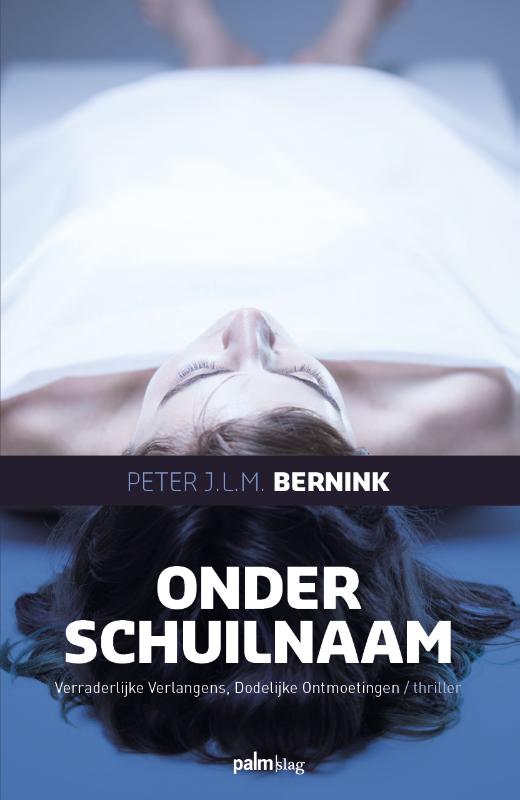 Omslag van Onder schuilnaam
