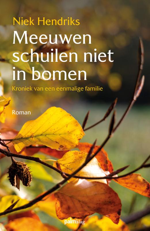 Omslag van Meeuwen schuilen niet in bomen