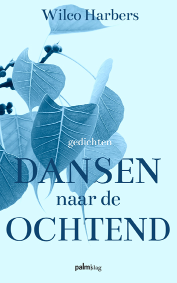 Omslag van Dansen naar de ochtend