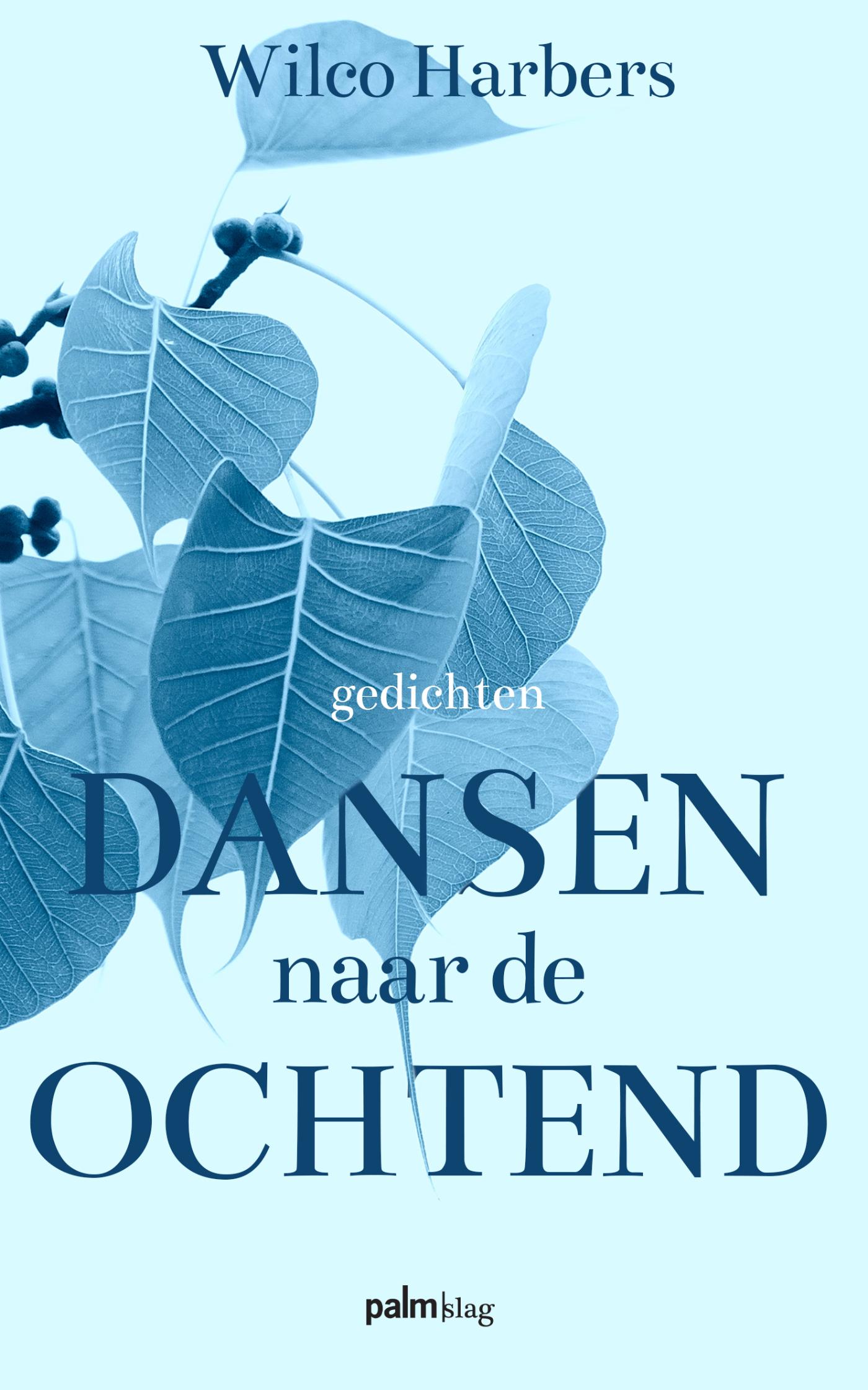 Omslag van Dansen naar de ochtend