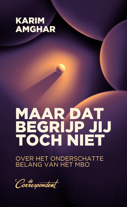 Omslag van Maar dat begrijp jij toch niet