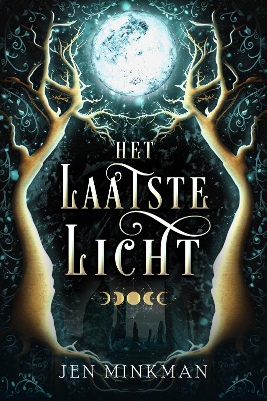 Omslag van Het laatste licht