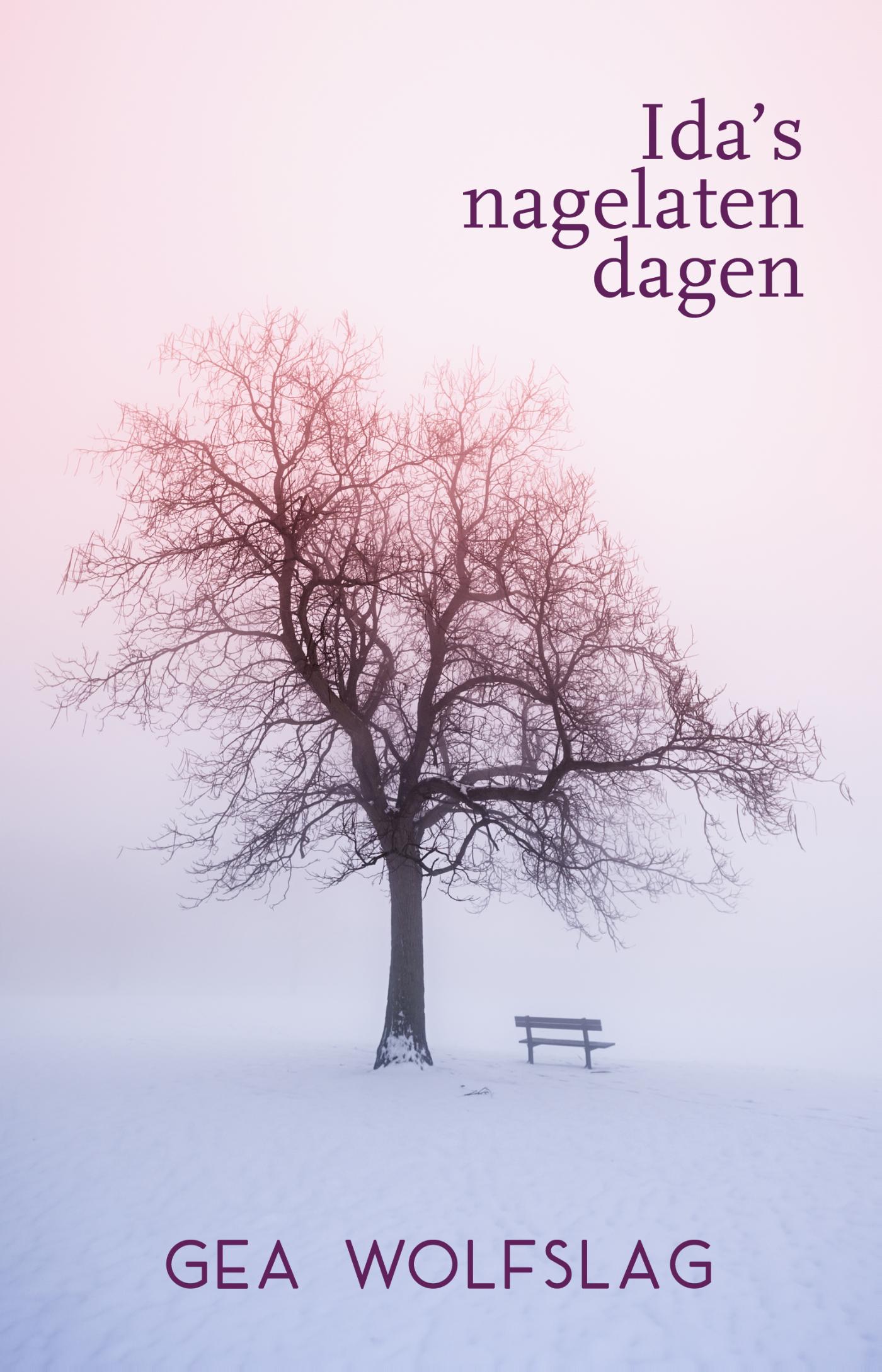 Omslag van Ida's nagelaten dagen