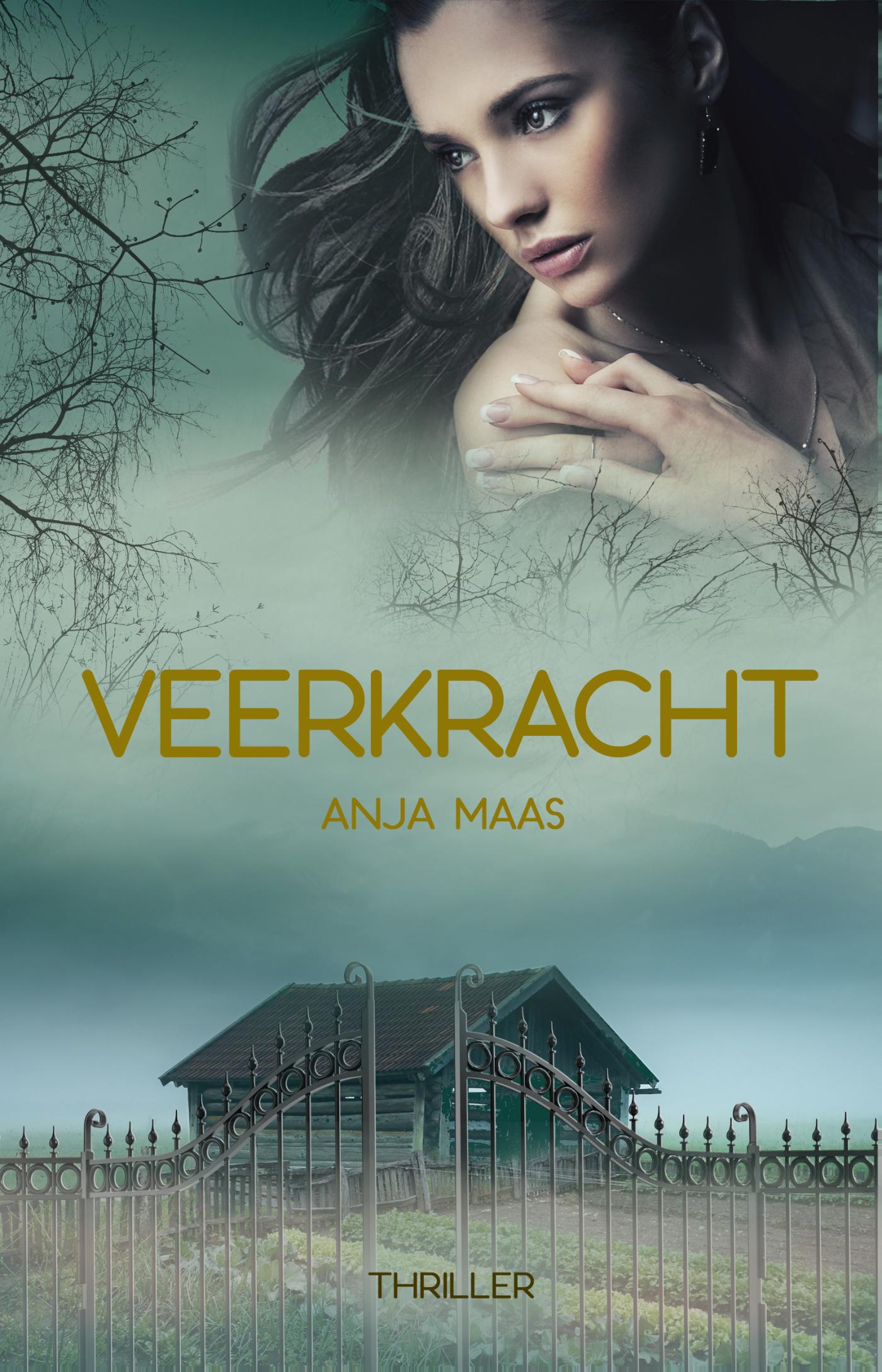 Omslag van Veerkracht