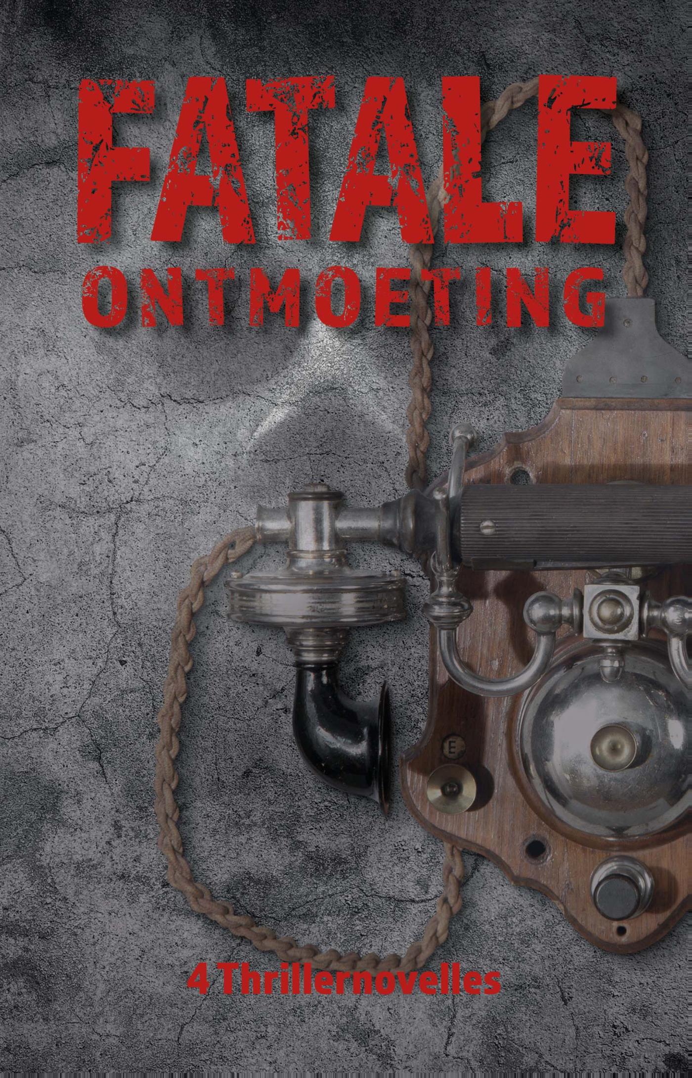 Omslag van Fatale ontmoeting