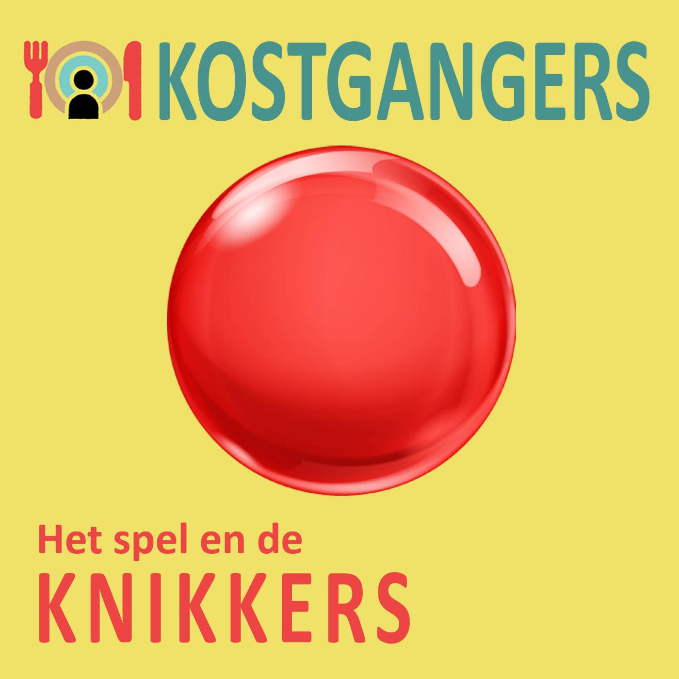 Omslag van Het spel en de knikkers