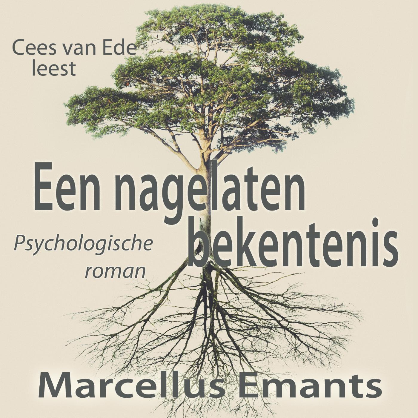 Omslag van Een nagelaten bekentenis