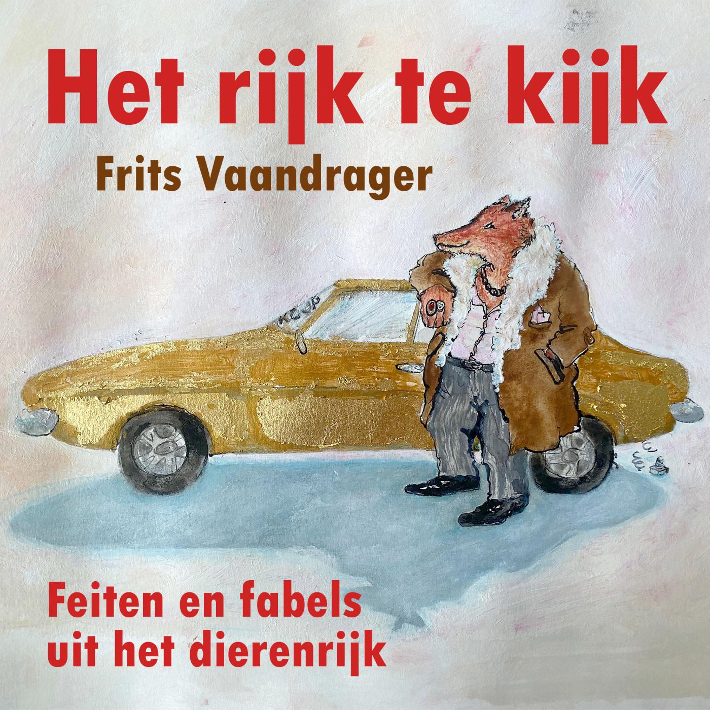 Omslag van Het rijk te kijk