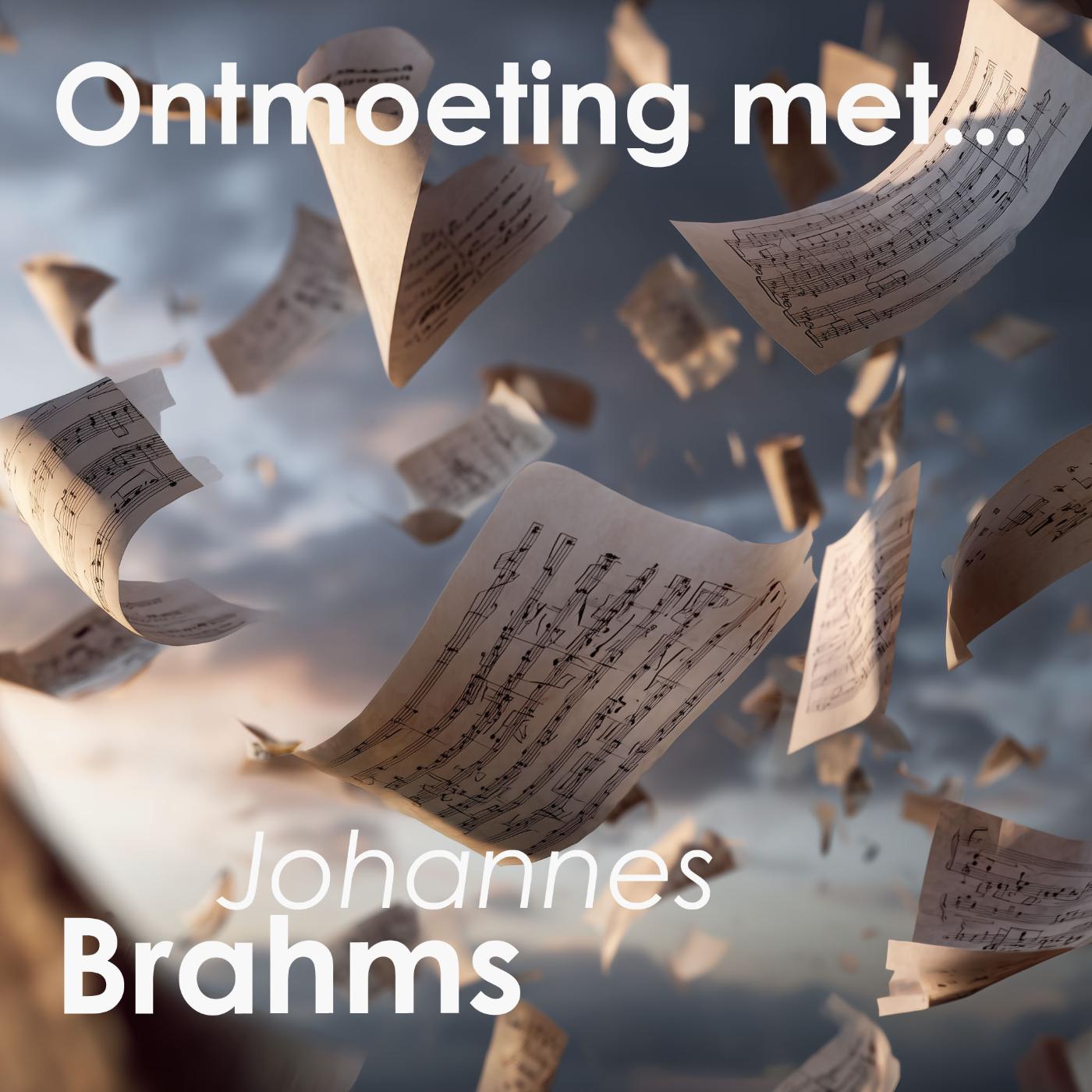 Omslag van Ontmoeting met Johannes Brahms