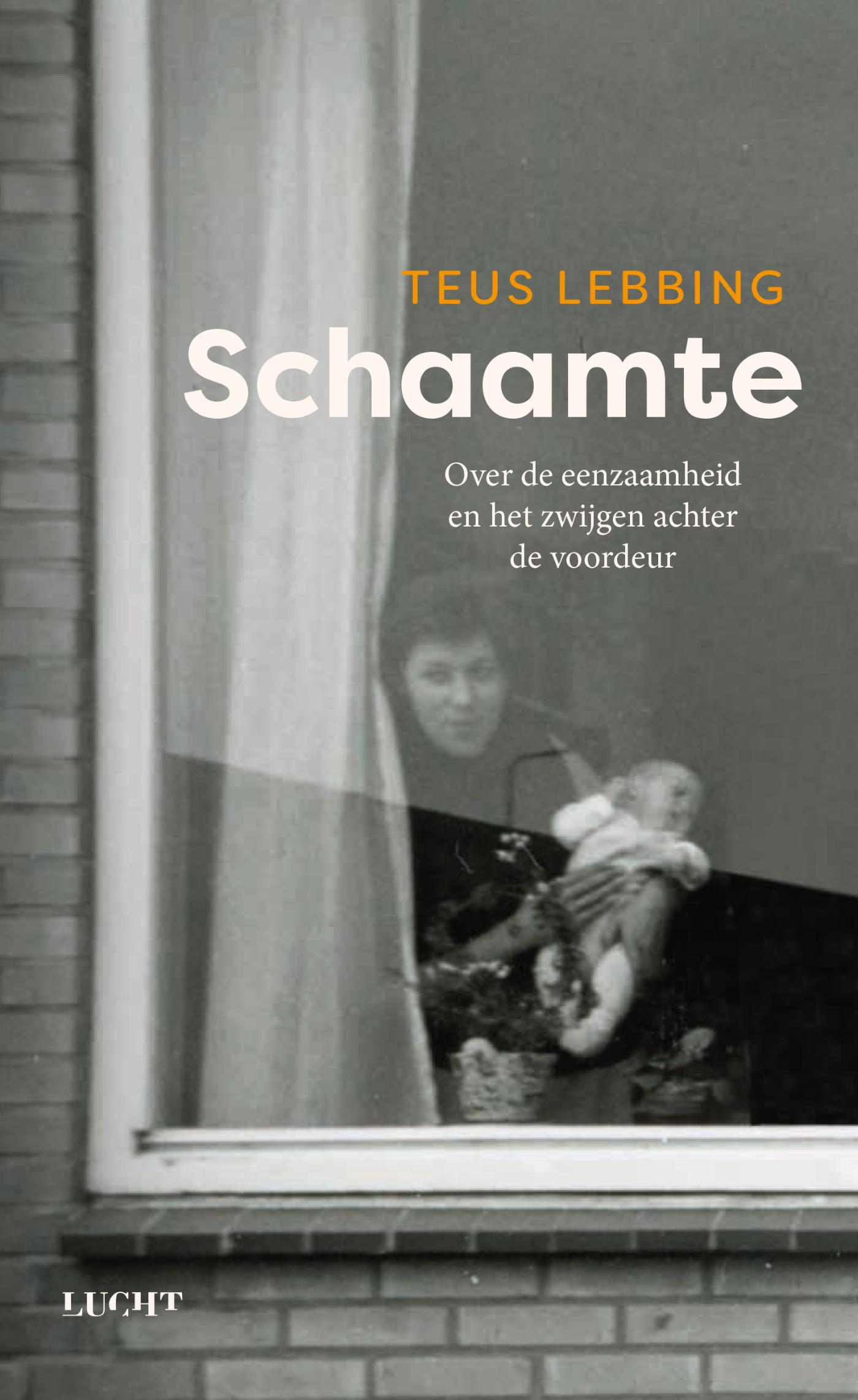 Omslag van Schaamte