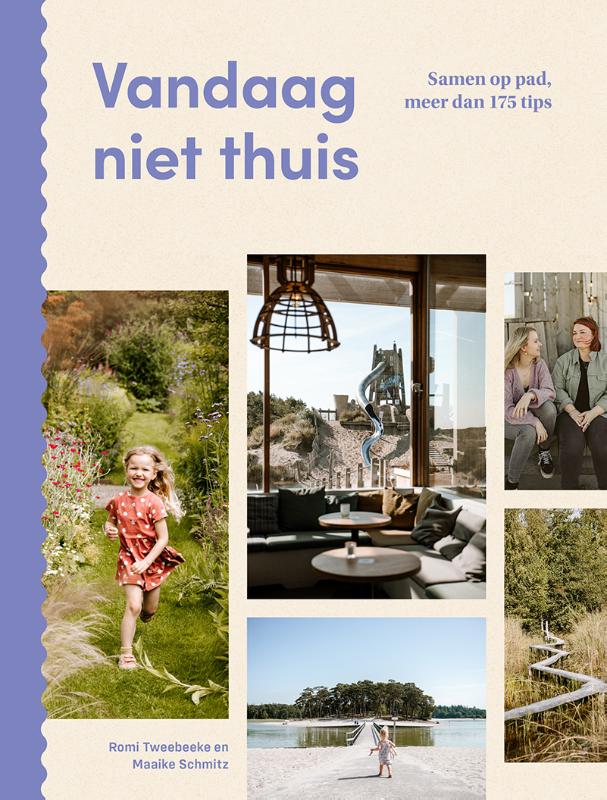 Omslag van Vandaag niet thuis