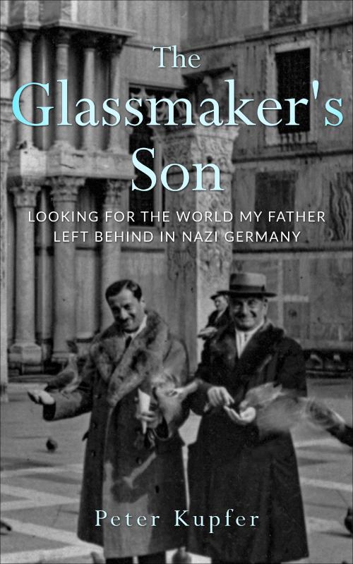 Omslag van The Glassmaker’s Son