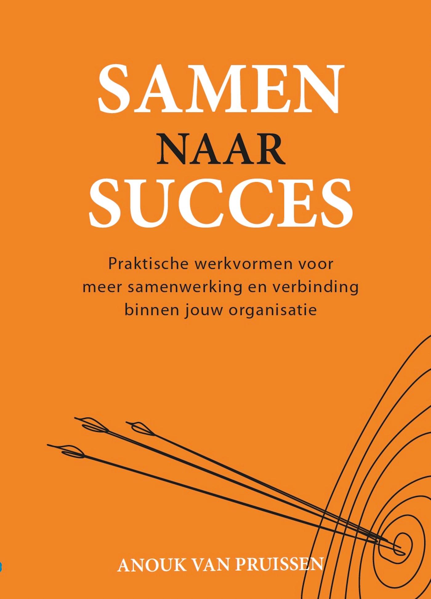 Omslag van Samen naar succes