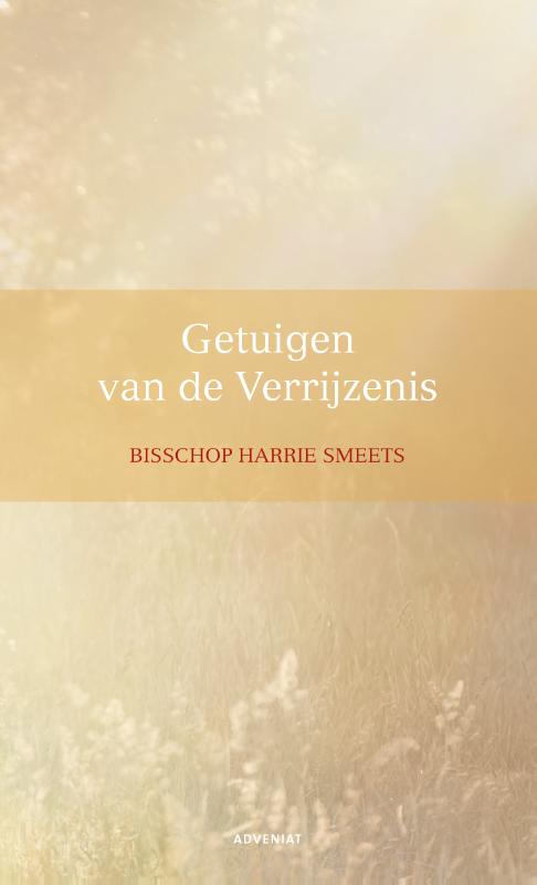 Omslag van Getuigen van de Verrijzenis