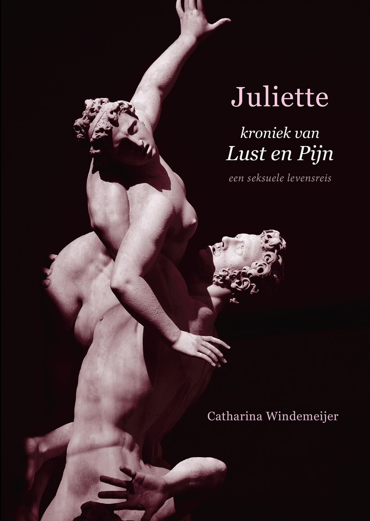 Omslag van Juliette, kroniek van Lust en Pijn