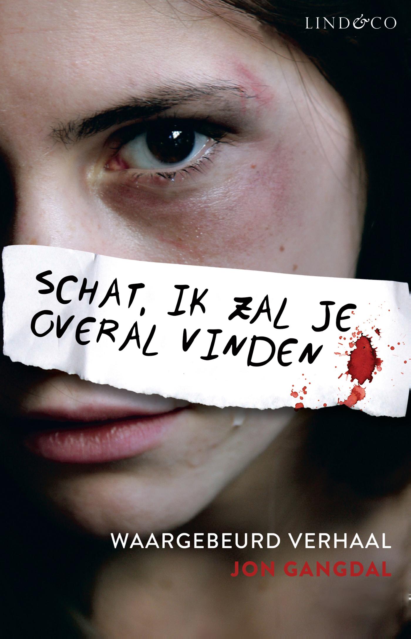 Omslag van Schat, ik zal je overal vinden