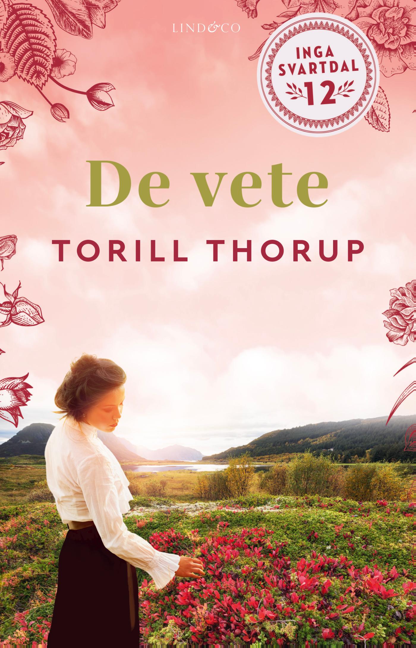 Omslag van De vete