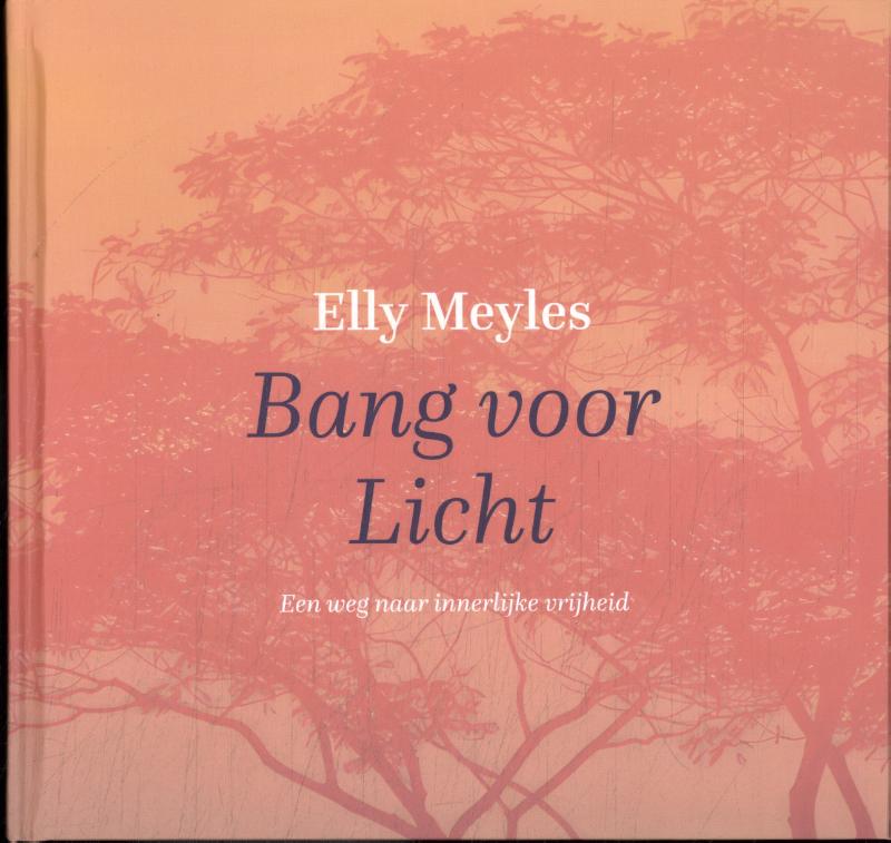 Omslag van Bang voor licht