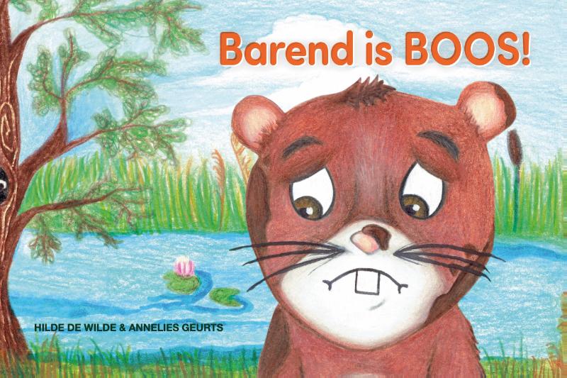 Omslag van Barend is boos