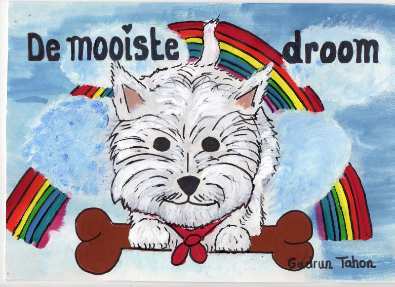 Omslag van De mooiste droom