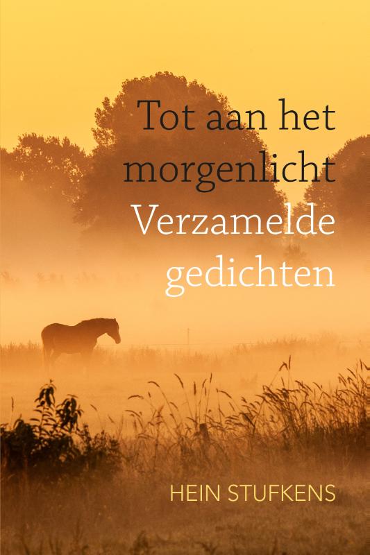 Omslag van Tot aan het morgenlicht
