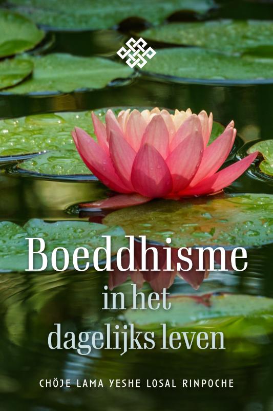 Omslag van Boeddhisme in het dagelijks leven