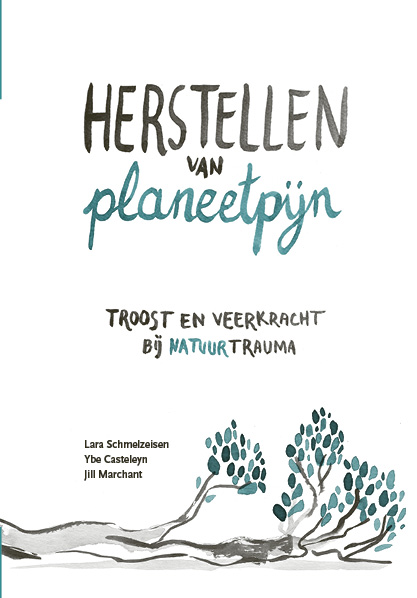 Omslag van Herstellen van planeetpijn