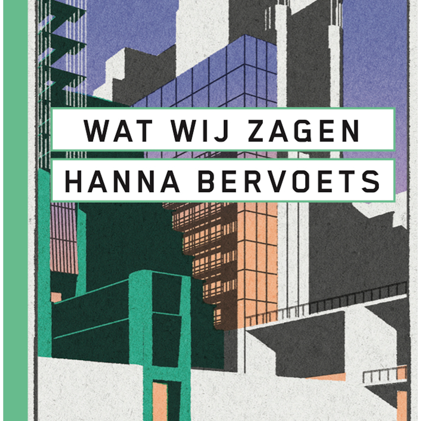 Omslag van Wat wij zagen