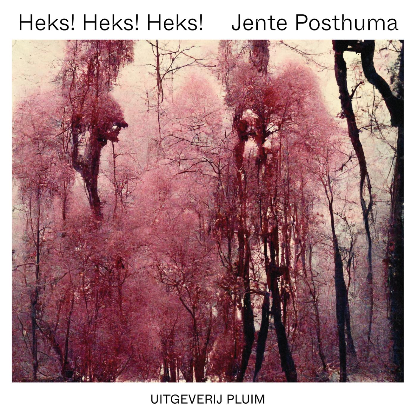 Omslag van Heks! Heks! Heks!