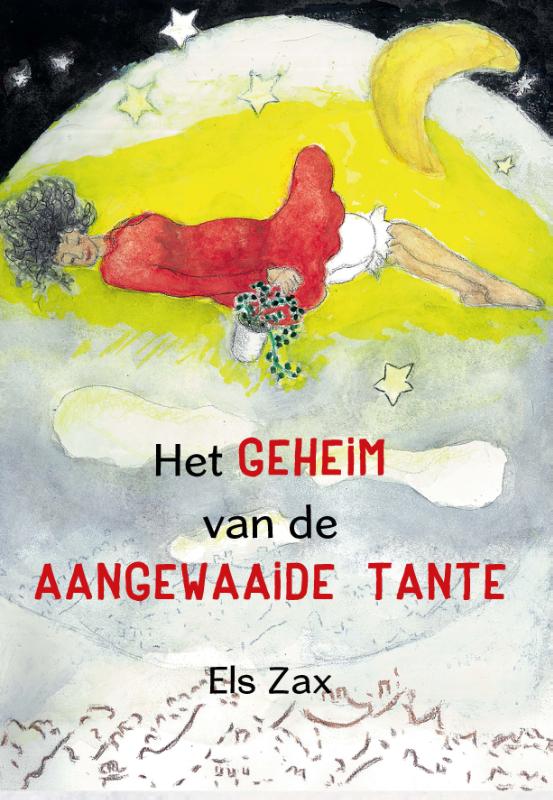 Omslag van Het geheim van de aangewaaide tante