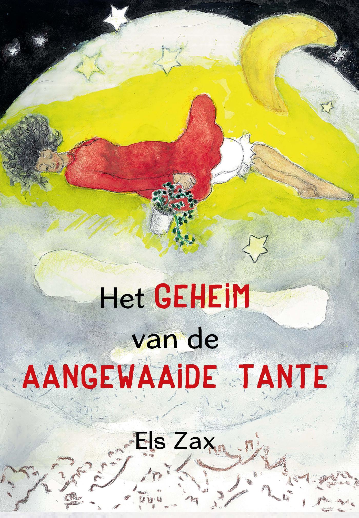 Omslag van Het geheim van de aangewaaide tante