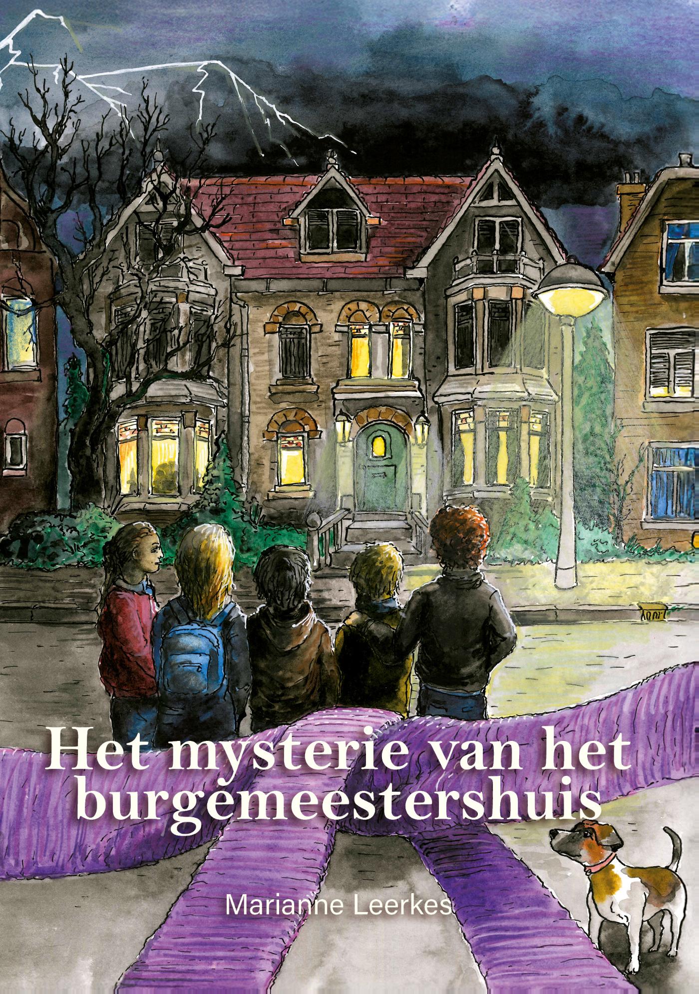 Omslag van Het mysterie van het burgemeestershuis