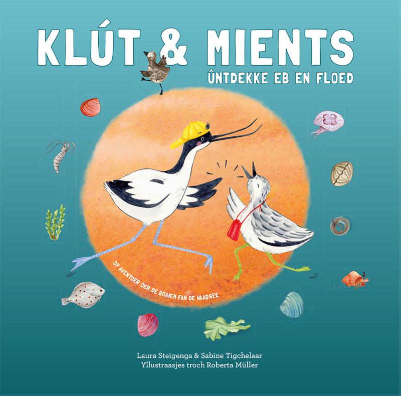 Omslag van Klút & Mients ûntdekke eb en floed