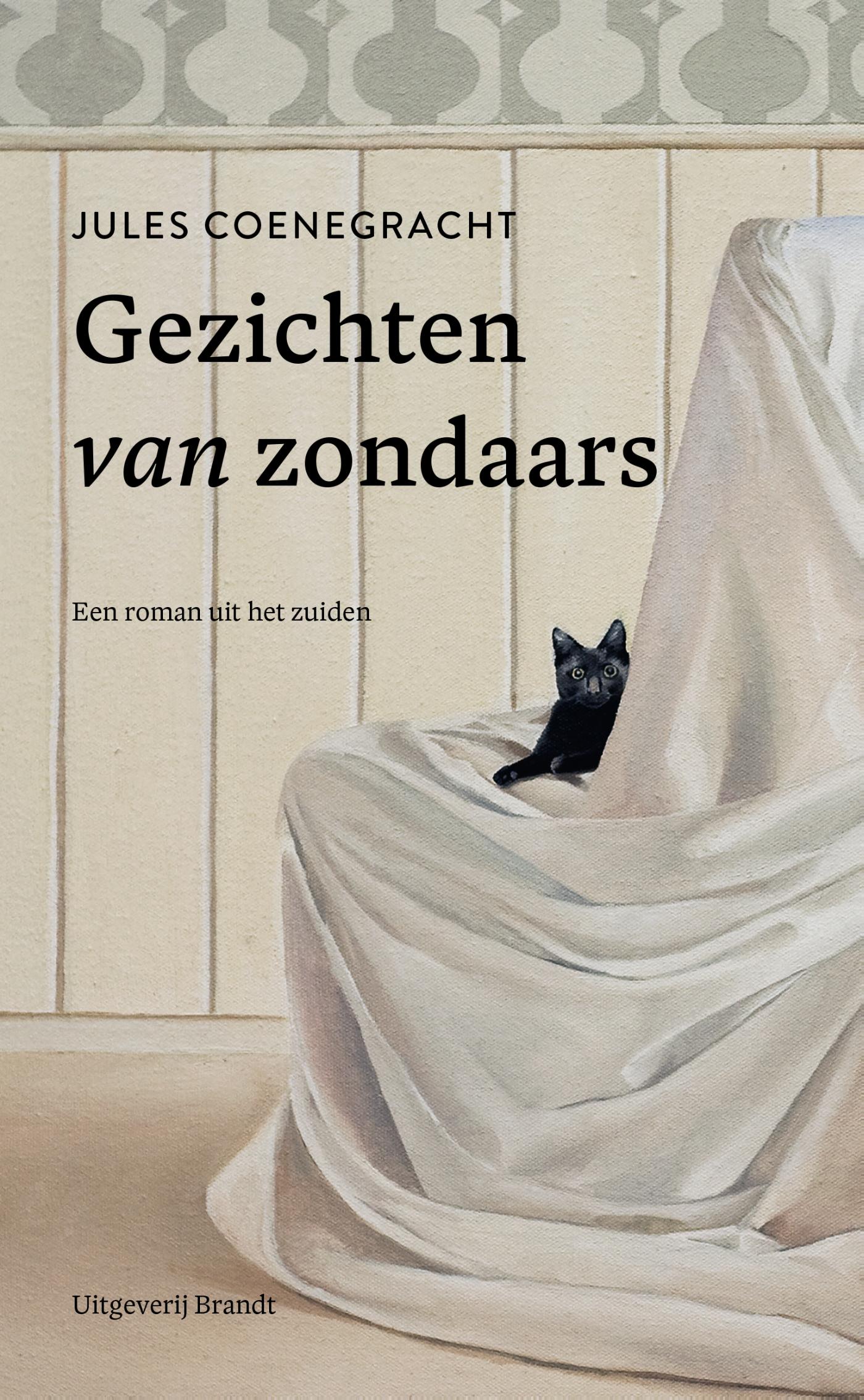 Omslag van Gezichten van zondaars