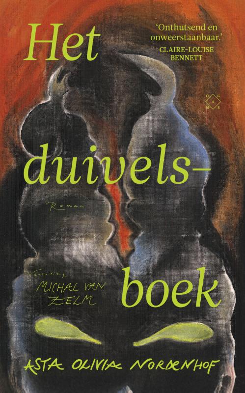 Omslag van Het duivelsboek