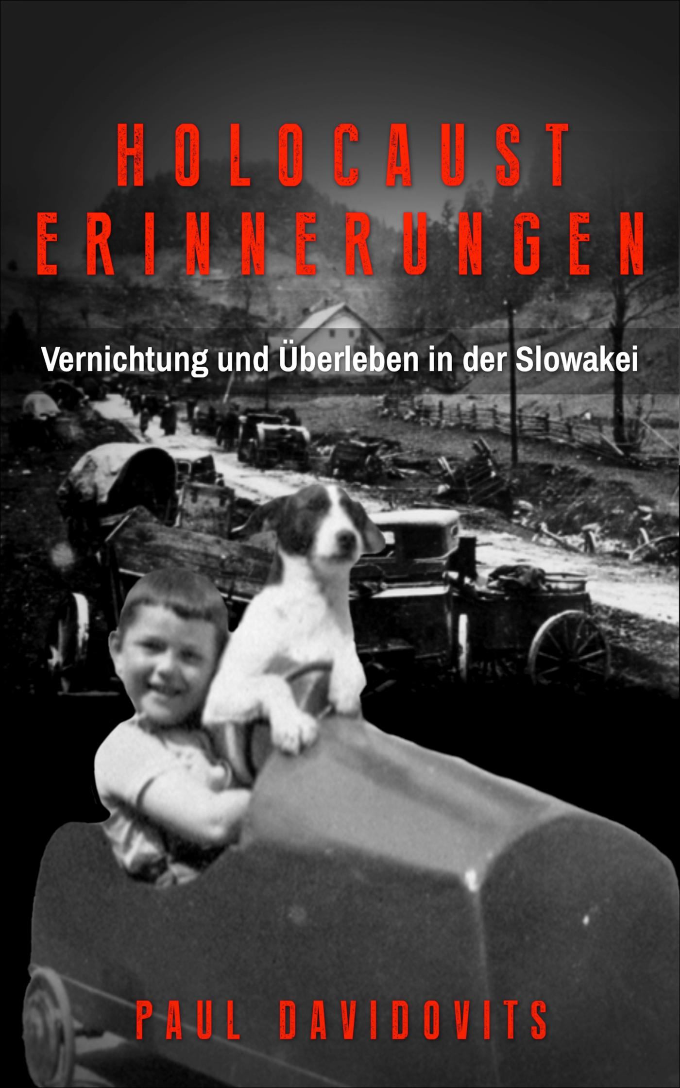 Omslag van Holocaust Erinnerungen