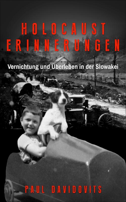 Omslag van Holocaust Erinnerungen