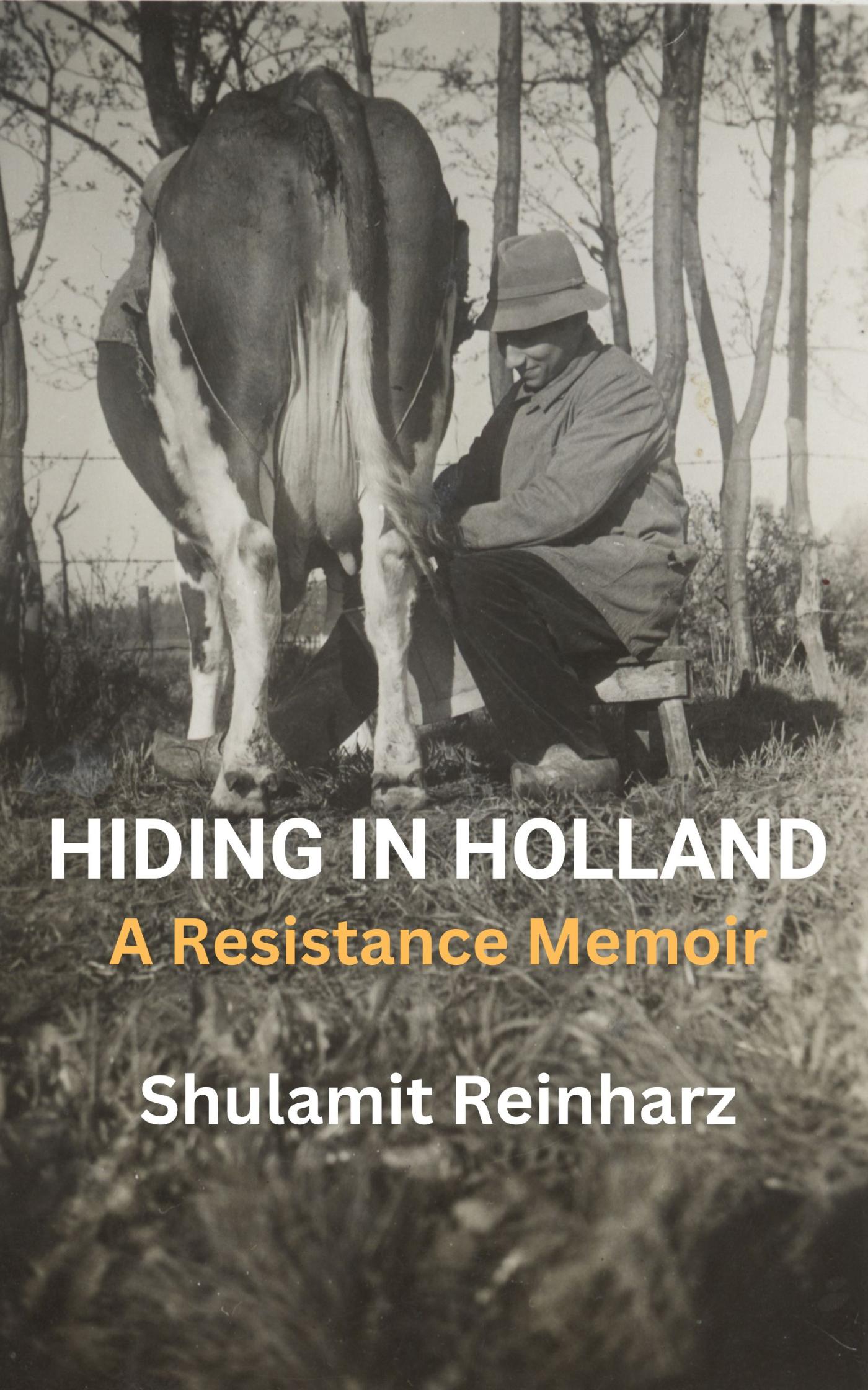 Omslag van Hiding in Holland