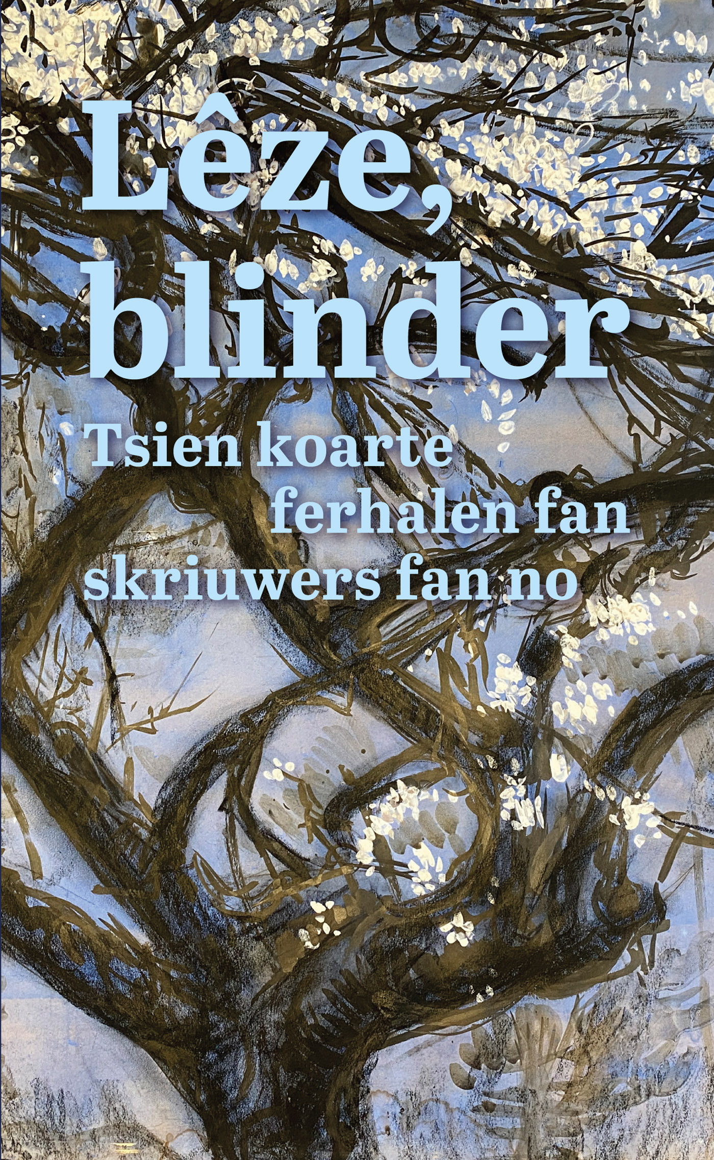 Omslag van Lêze, blinder