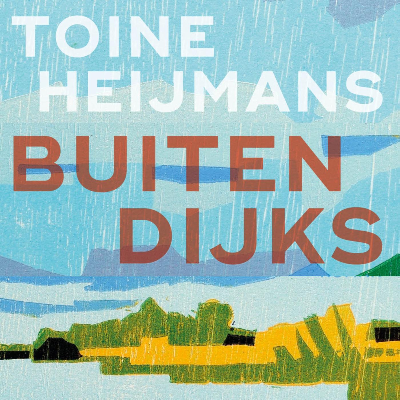 Omslag van Buitendijks