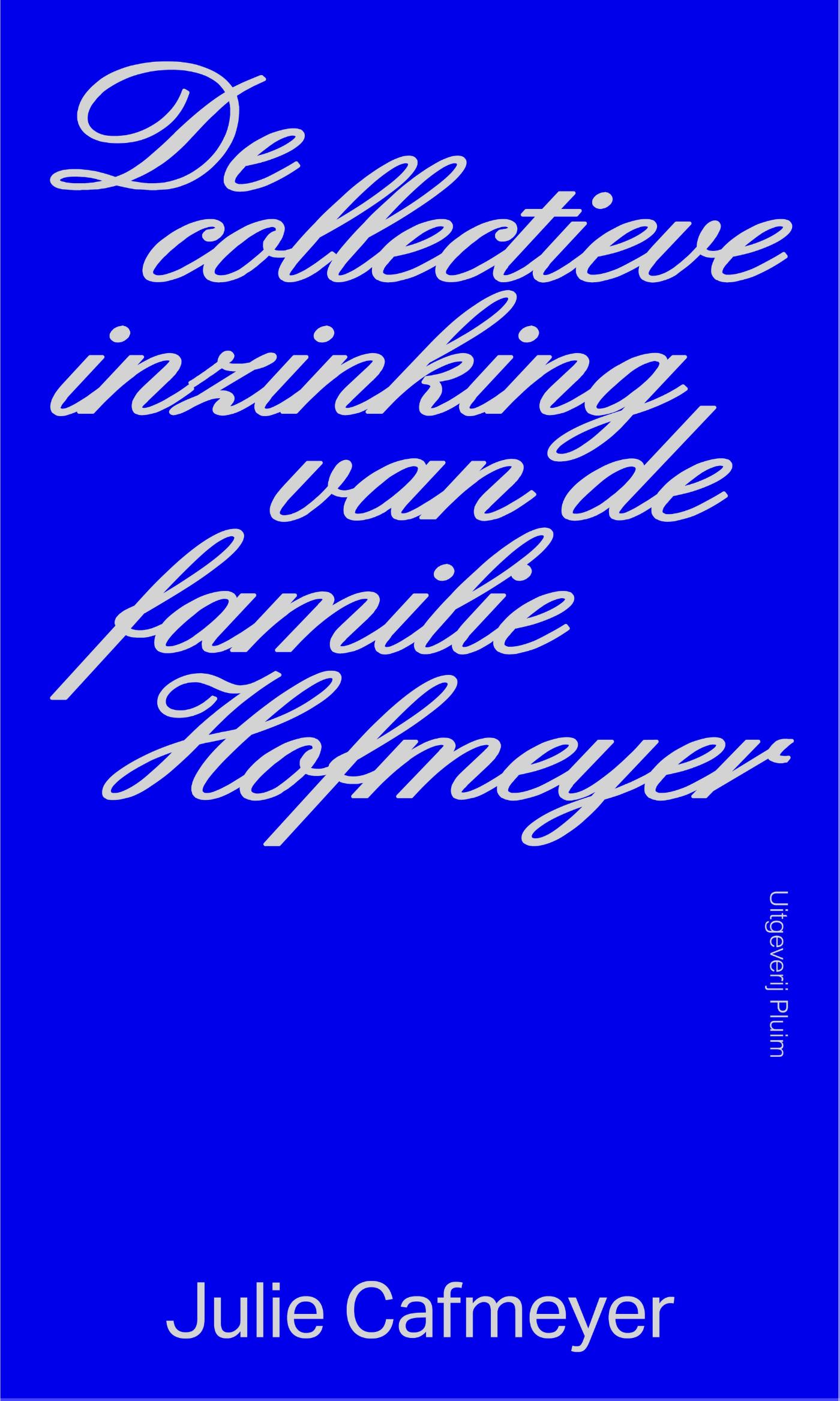 Omslag van De collectieve inzinking van de familie Hofmeyer