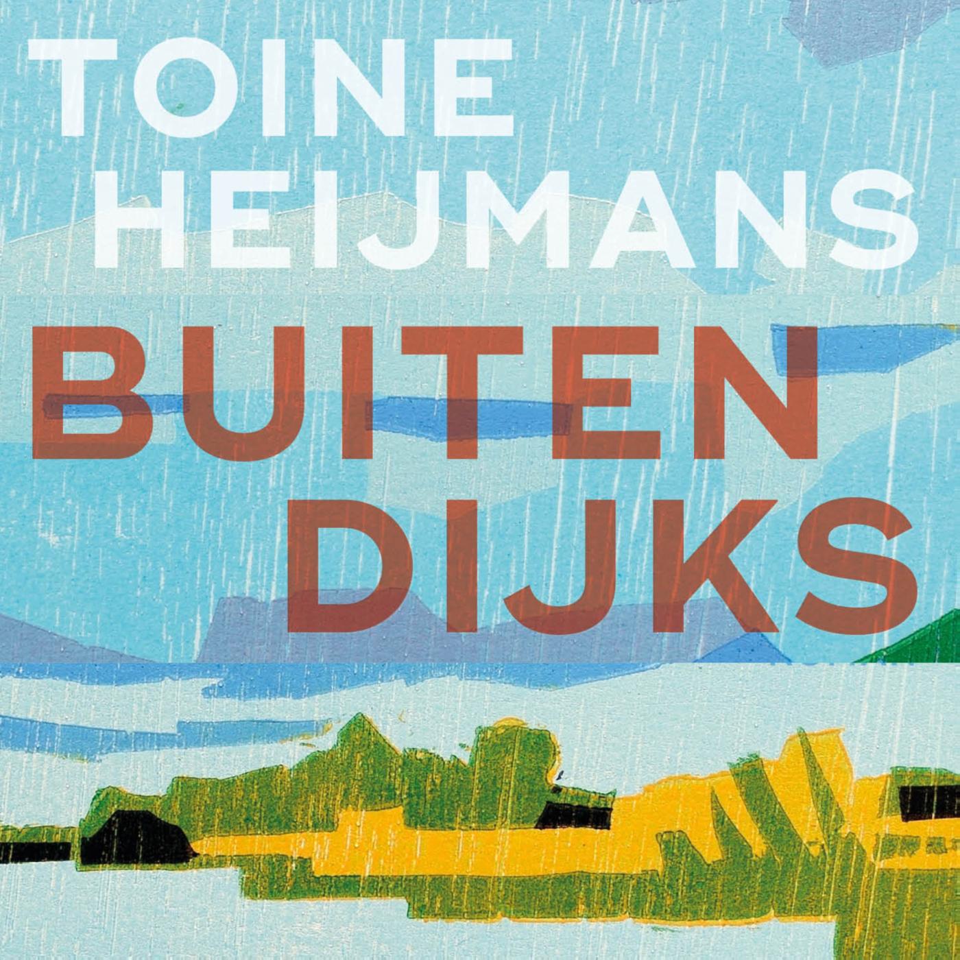 Omslag van Buitendijks
