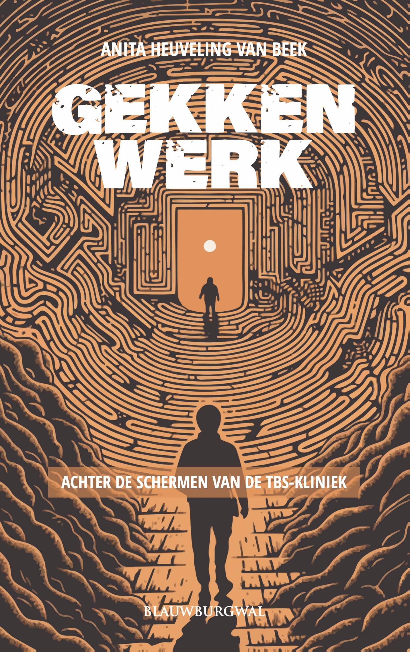 Omslag van Gekkenwerk