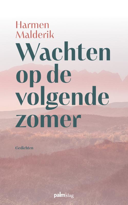 Omslag van Wachten op de volgende zomer